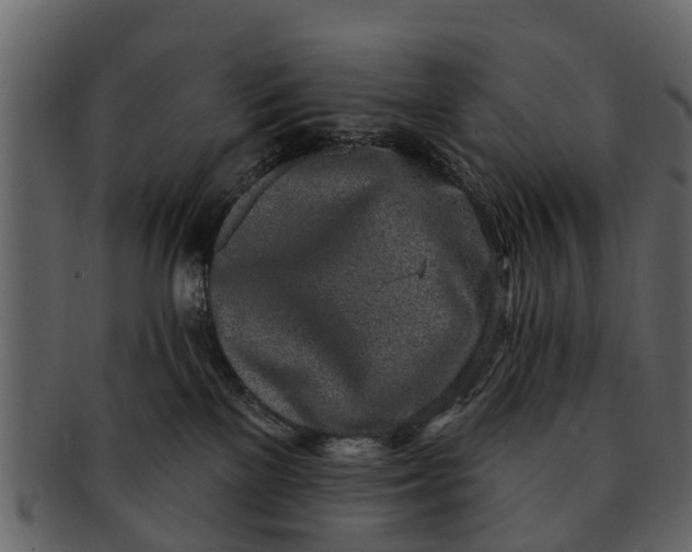 X0000093100137200710171209