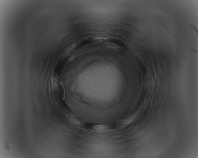 X0000093100139200710171209