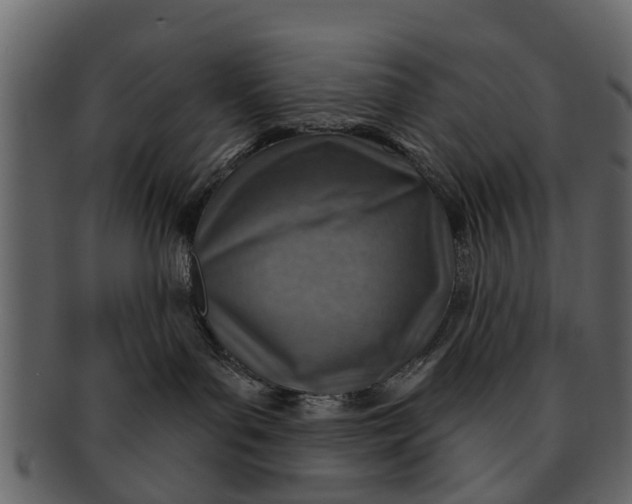 X0000093100143200710171209