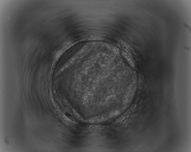 X0000093100145200710171208