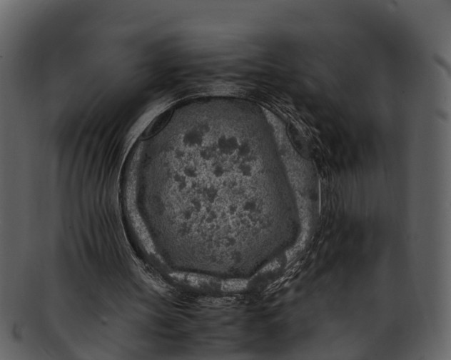 X0000093100147200710171208