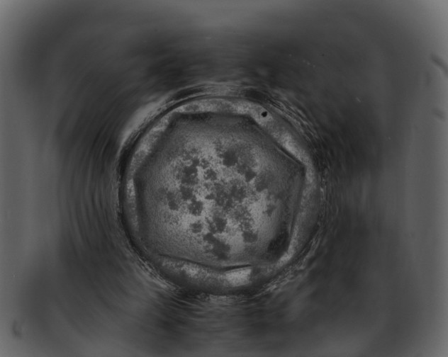 X0000093100149200710171208