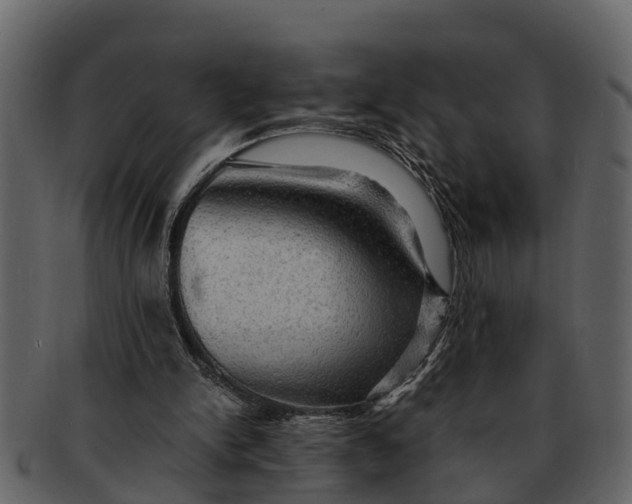 X0000093100150200710171209