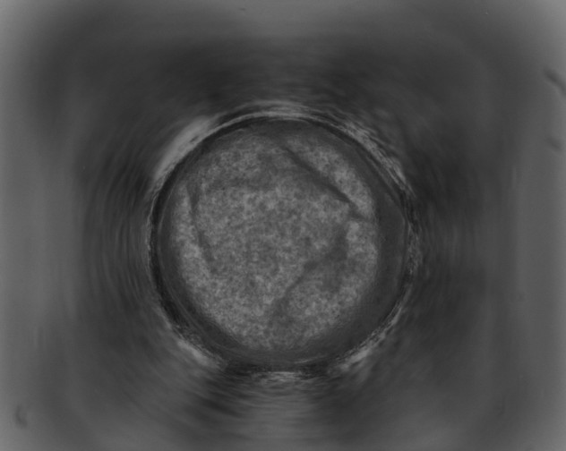 X0000093100151200710171209