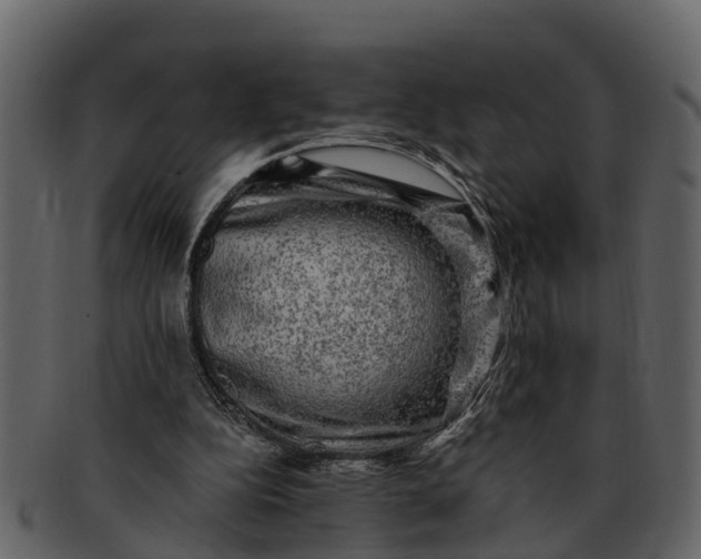 X0000093100152200710171209