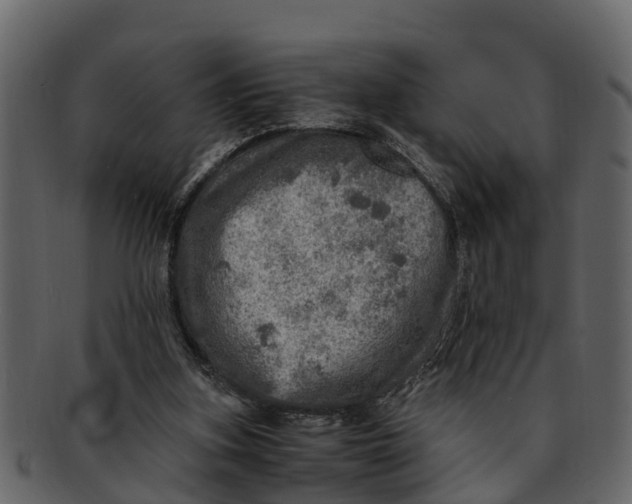 X0000093100155200710171209
