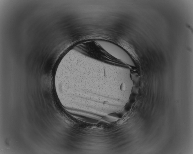 X0000093100156200710171209