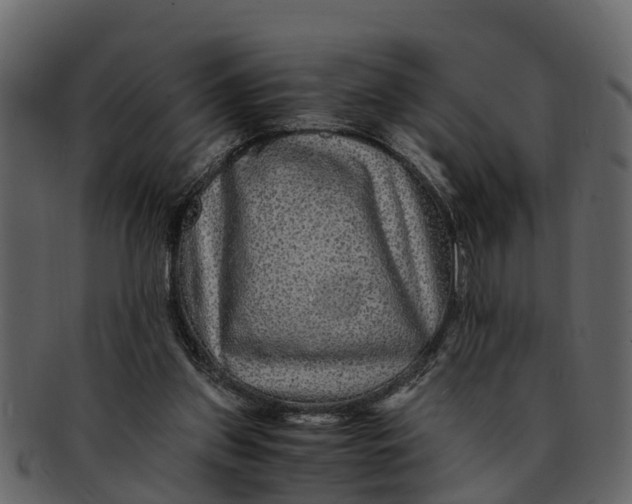 X0000093100157200710171209