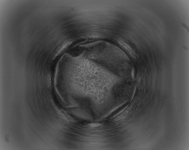 X0000093100158200710171209