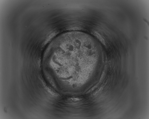 X0000093100159200710171209