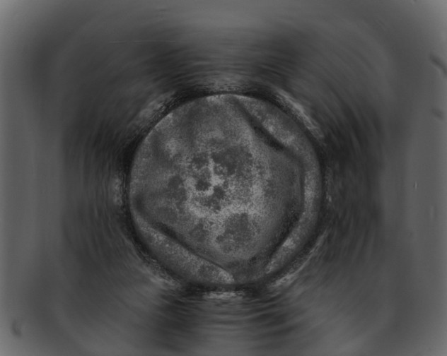 X0000093100161200710171209