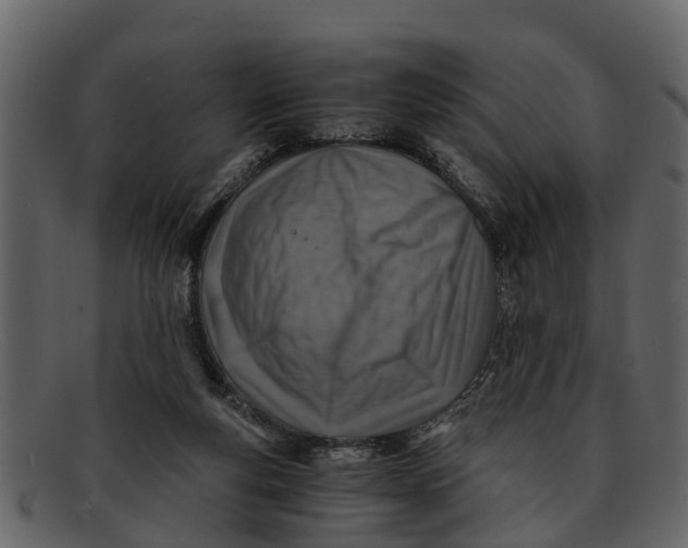 X0000093100163200710171209