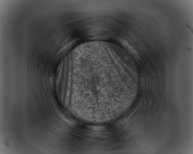 X0000093100165200710171209