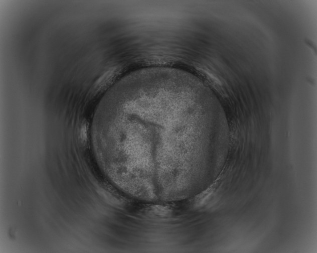 X0000093100166200710171209