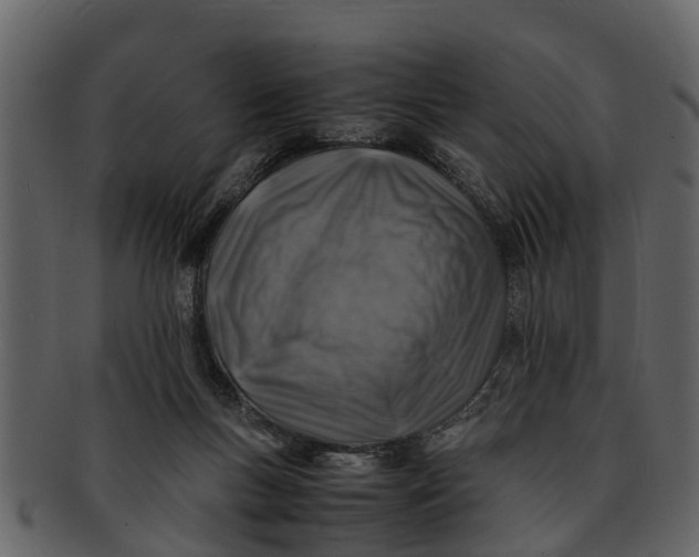 X0000093100167200710171209