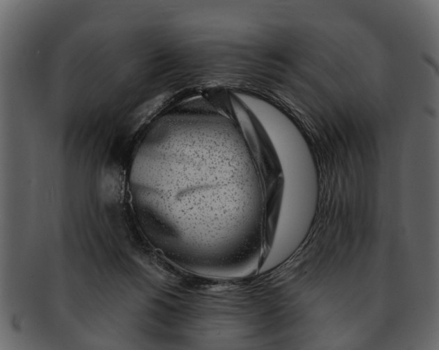 X0000093100168200710171209