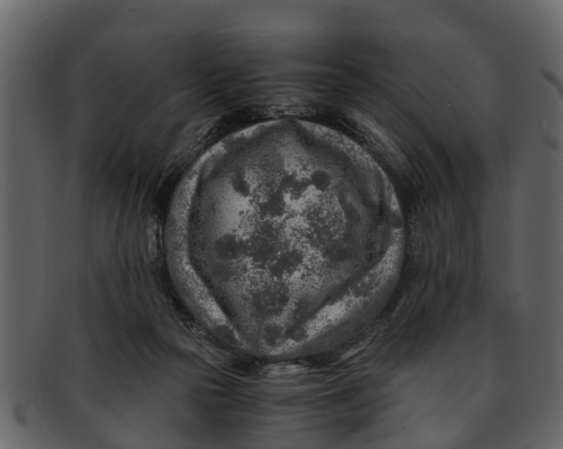 X0000093100169200710171209