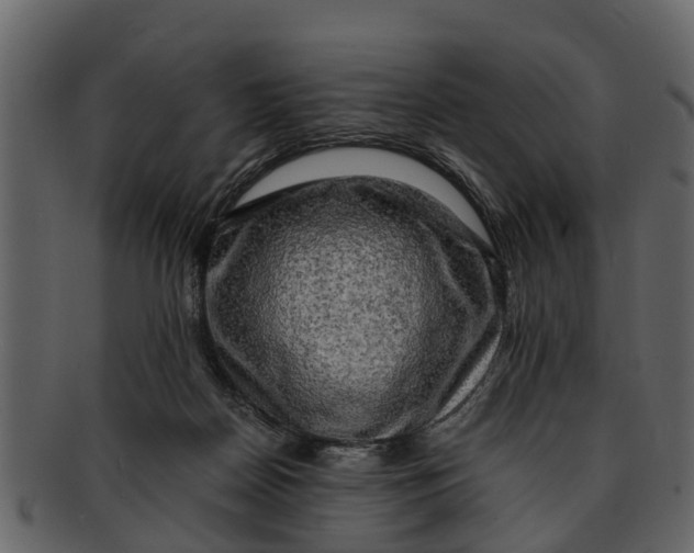 X0000093100170200710171209