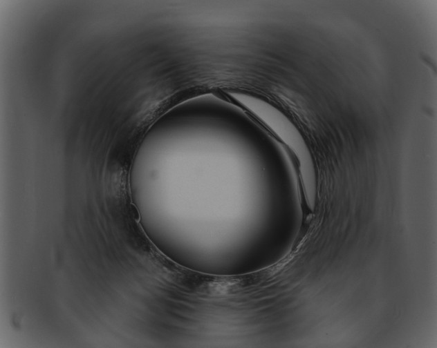 X0000093100172200710171209