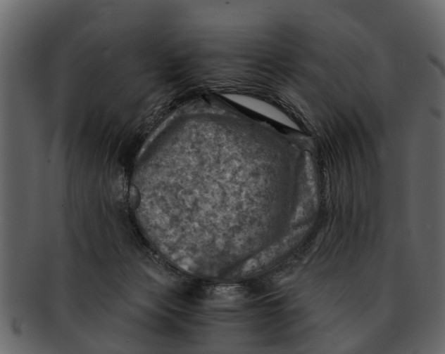 X0000093100173200710171209