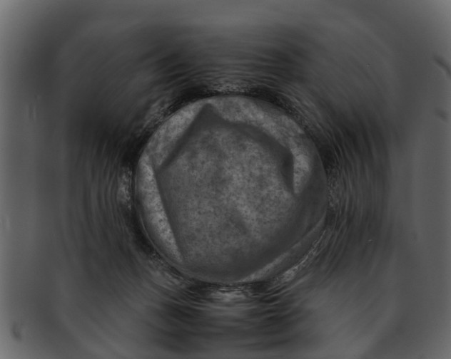X0000093100175200710171209