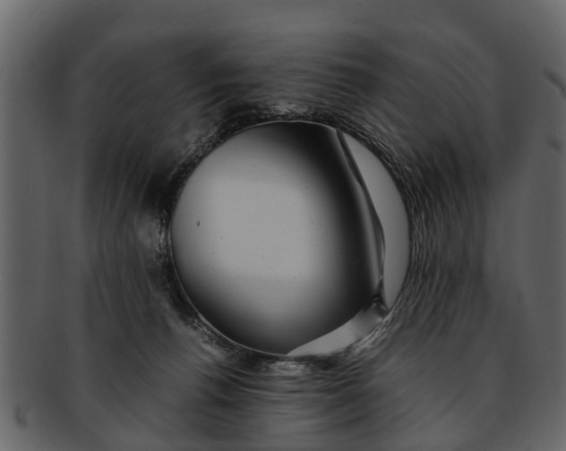 X0000093100176200710171209