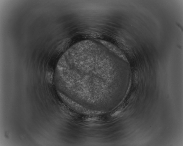 X0000093100177200710171209