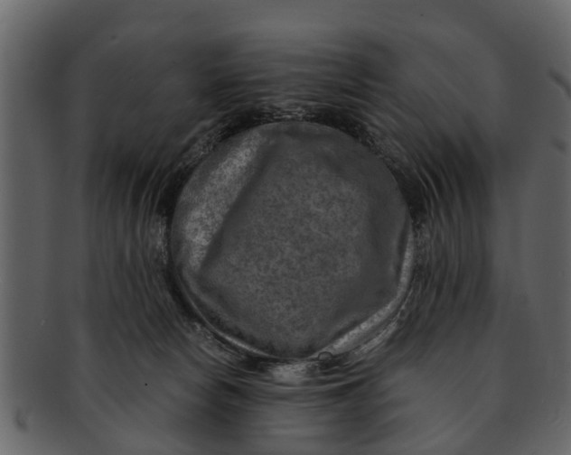 X0000093100178200710171209