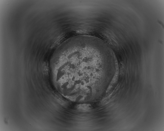 X0000093100179200710171209