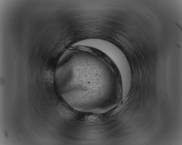 X0000093100180200710171209