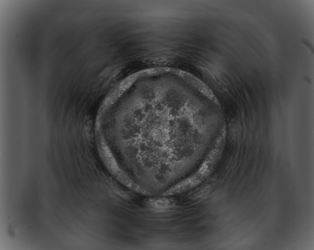 X0000093100181200710171209
