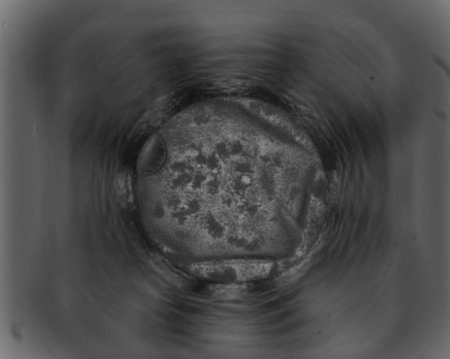 X0000093100182200710171209