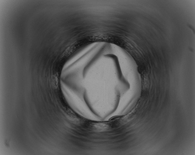 X0000093100183200710171209