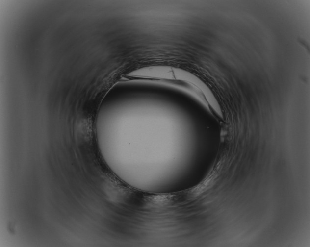 X0000093100184200710171209