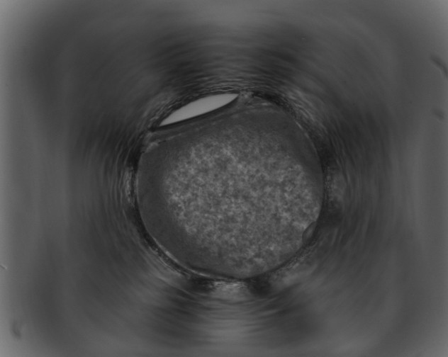 X0000093100185200710171209