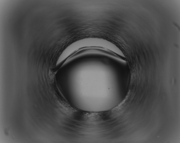 X0000093100186200710171209
