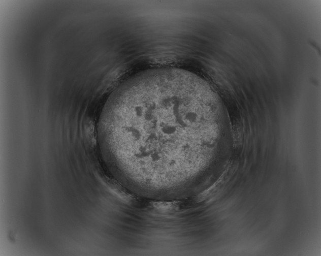 X0000093100187200710171209