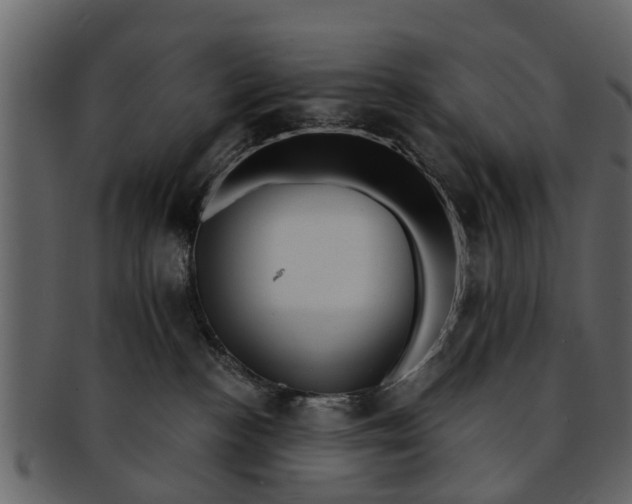X0000093100188200710171209