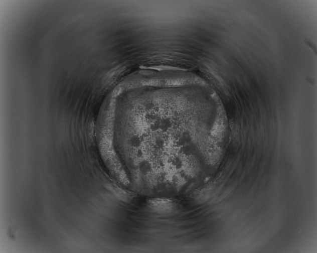 X0000093100189200710171209