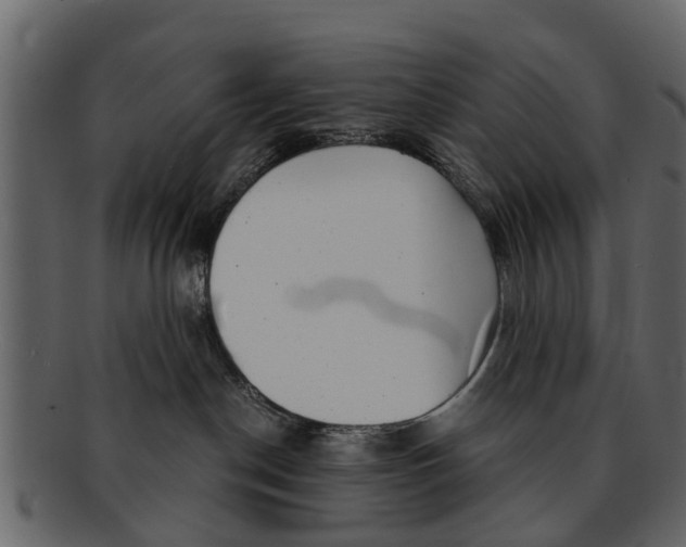 X0000093100190200710171209