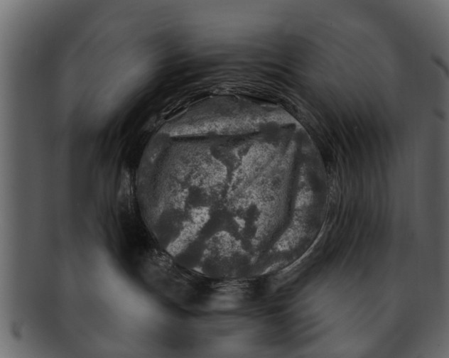 X0000093100191200710171209