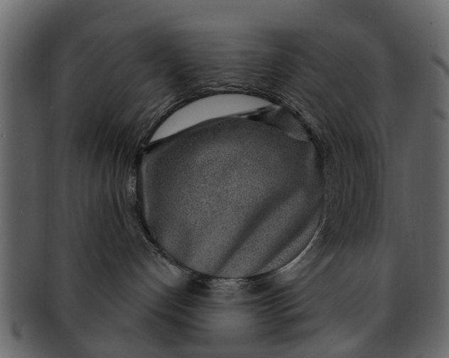 X0000093100192200710171209