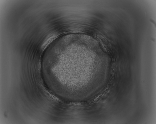 X0000093100194200710171208