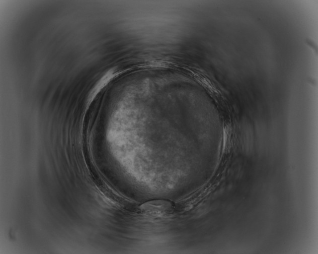 X0000093100195200710171208