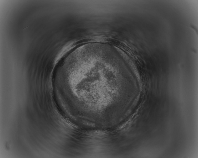 X0000093100198200710171208