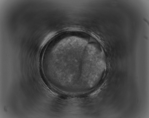 X0000093100199200710171208