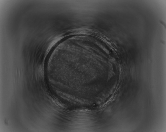 X0000093100200200710171208
