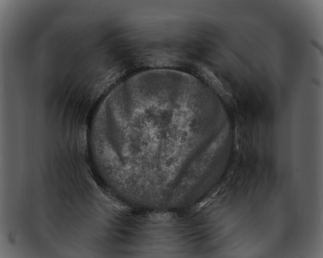 X0000093100202200710171208