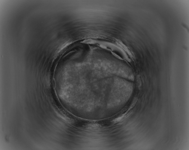 X0000093100203200710171208