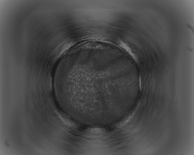 X0000093100205200710171208